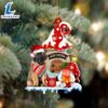 Leonberger With Mushroom House Christmas Ornament, Gift For Christmas