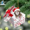 Lhasa-Apso In Gift Box Christmas Ornament, Gift For Christmas