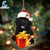 Newfoundland-Dogs Give Gifts Hanging Ornament, Gift For Christmas