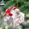 Old-English-Sheepdog In Gift Box Christmas Ornament, Gift For Christmas Dog Loves 2 Old-English-Sheepdog In Gift Box Christmas Ornament, Gift For Christmas
