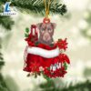Patterdale Terrier In Gift Bag Christmas Ornament, Gift For Christmas