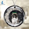 Pekingese With Crown Diamond Ornament, Gift For Christmas