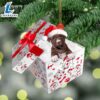 Pit-Bull In Gift Box Christmas Ornament, Gift For Christmas