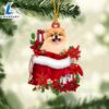 Pomeranian In Gift Bag Christmas Ornament, Gift For Christmas Dog Loves 2 Pomeranian In Gift Bag Christmas Ornament, Gift For Christmas