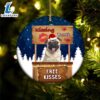 Pug Kissing Booth Christmas Ornament, Gift For Christmas