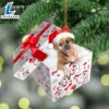 Puggle In Gift Box Christmas Ornament, Gift For Christmas