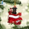 Rottweiler 2 In Gift Bag Christmas Ornament, Gift For Christmas Dog Loves 2 Rottweiler 2 In Gift Bag Christmas Ornament, Gift For Christmas