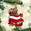 Shar Pei In Gift Bag Christmas Ornament, Gift For Christmas Dog Loves 2 Shar Pei In Gift Bag Christmas Ornament, Gift For Christmas