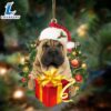 Shar Pei-Dogs Give Gifts Hanging Ornament, Gift For Christmas