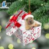 Shar-Pei In Gift Box Christmas Ornament, Gift For Christmas