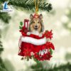 Shetland Sheepdog In Gift Bag Christmas Ornament, Gift For Christmas Dog Loves 3 Shetland Sheepdog In Gift Bag Christmas Ornament, Gift For Christmas