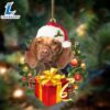 Vizsla-Dogs Give Gifts Hanging Ornament, Gift For Christmas