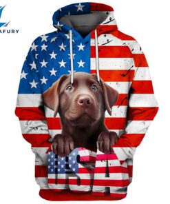 Labrador Retriever Dog 2 3D Face Graphic Premium America Flag Hoodie