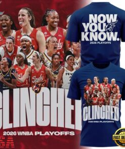 Indiana Fever 2026 WNBA PLAYOFFS Now You Know T Shirt, Viral 3D Graphic Tee Indiana Fever 2026 Wnba Playoffs Now You Know T Shirt