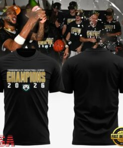 Winnipeg Sea Bears Canadian Elite Basketball League Champions 2026 T Shirt, Viral 3D Graphic Tee Winnipeg Sea Bears Canadian Elite Basketball League Champions 2026 T Shirt