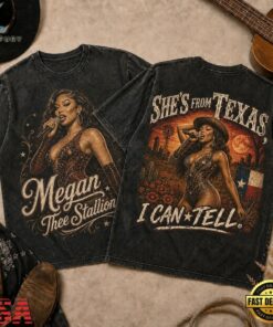 Megan Thee Stallion Glitter Stage Portrait 3D Shirt, Trending Music 3D Tee Megan Thee Stallion Glitter Stage Portrait 3D Shirt