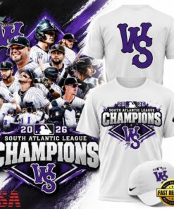 Winston Salem Dash 2026 South Atlantic League Champions Limited Edition 3D Shirt, Viral 3D Graphic Tee Winston Salem Dash 2026 South Atlantic League Champions Limited Edition 3D Shirt