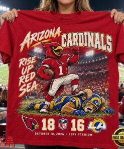 Arizona Cardinals 18 16 Win Over Los Angeles Rams Game Day 3D Shirt, Viral 3D Graphic Tee Arizona Cardinals 18 16 Win Over Los Angeles Rams Game Day 3D Shirt